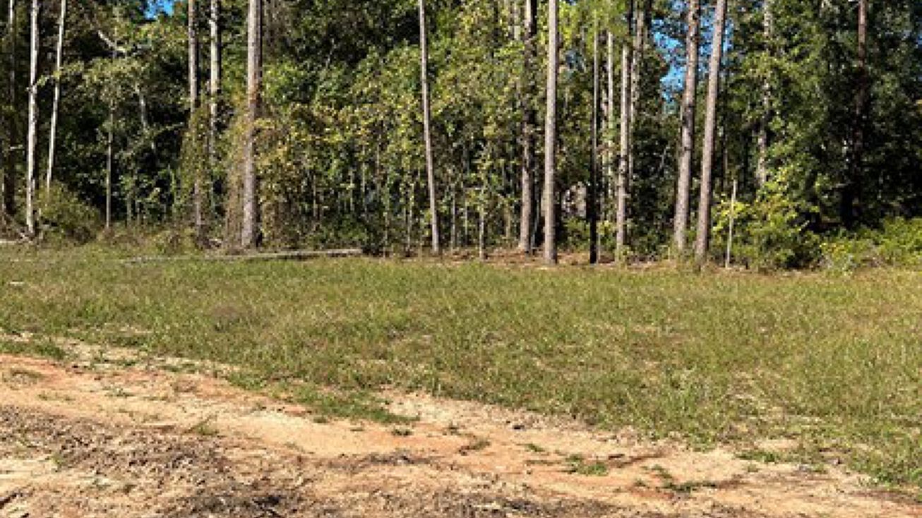 5635 CR 3659,, Queen City, TX 75572