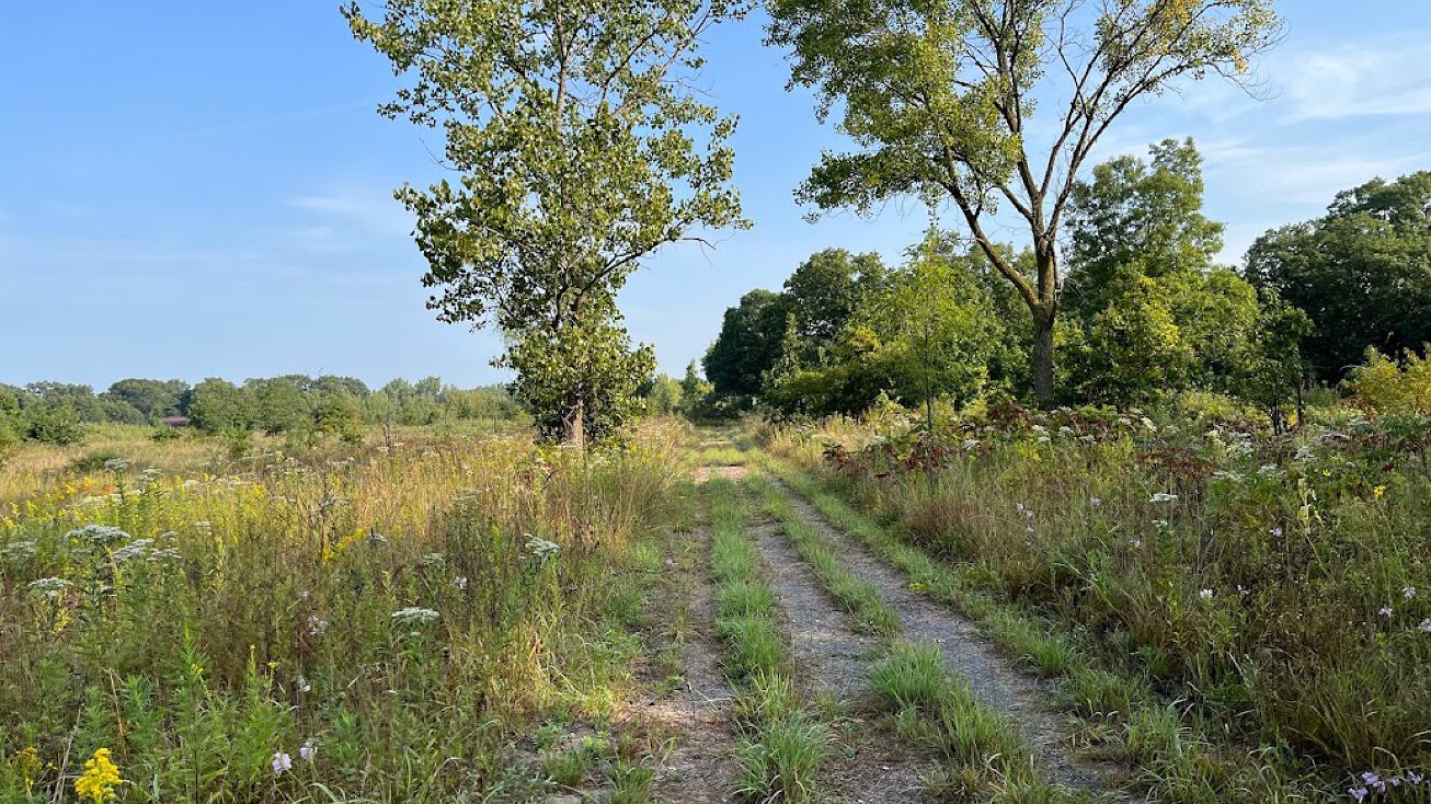 13591 E Central Ave, Hopkins Park, IL 60958