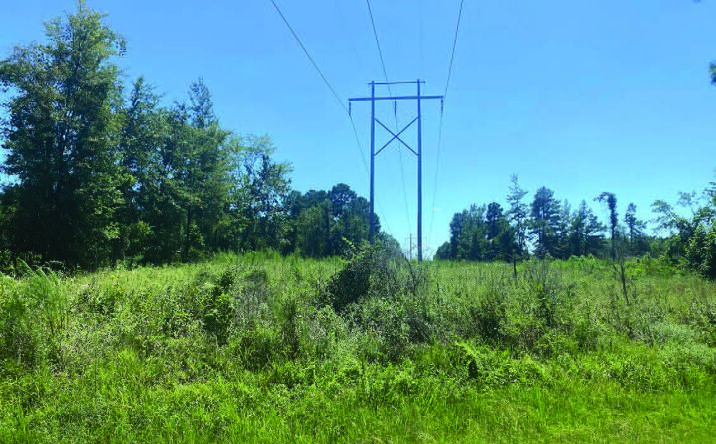 Pictures of Land property located at APW 18, Magnolia, AR 71753 for sales - image #1