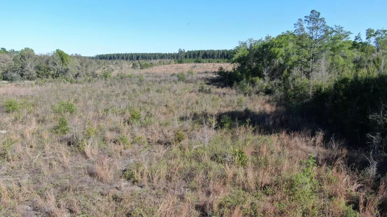 Vacant NE Beulah Church Rd, Lee, FL 32059