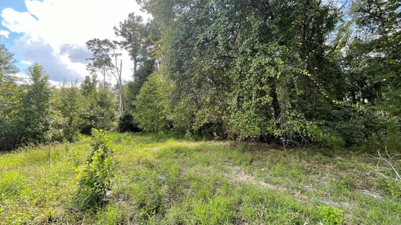 TBD Slater Oaks Road, Jasper, SC 29916