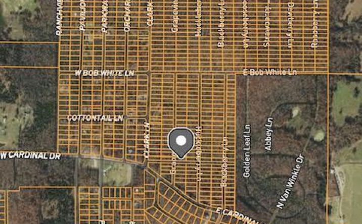 Pictures of Land property located at 1110 Grapevine Ln, Horseshoe Bend, AR 72512 for sales - image #1