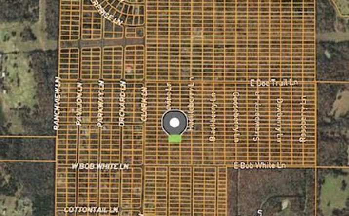 Pictures of Land property located at 1316-1318 Grapevine Lane, Horseshoe Bend, AR 72512 for sales - image #1