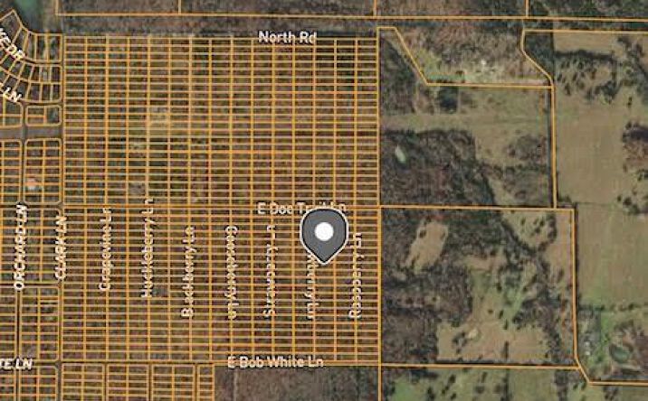 Pictures of Land property located at 1412 Dewberry Ln, Horseshoe Bend, AR 72512 for sales - image #1