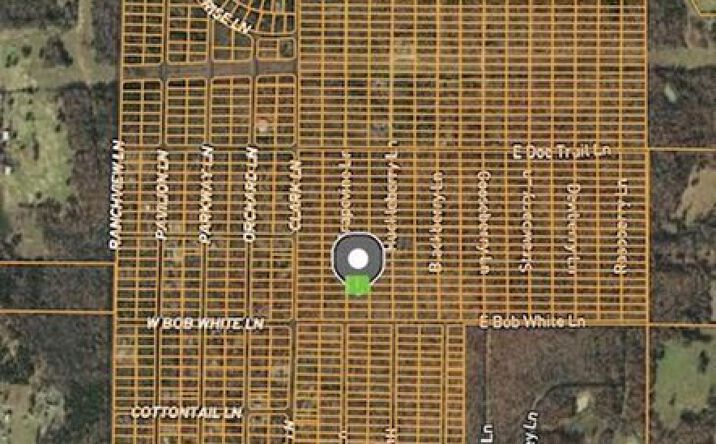 Pictures of Land property located at 1309-1311 Grapevine Lane, Horseshoe Bend, AR 72512 for sales - image #1