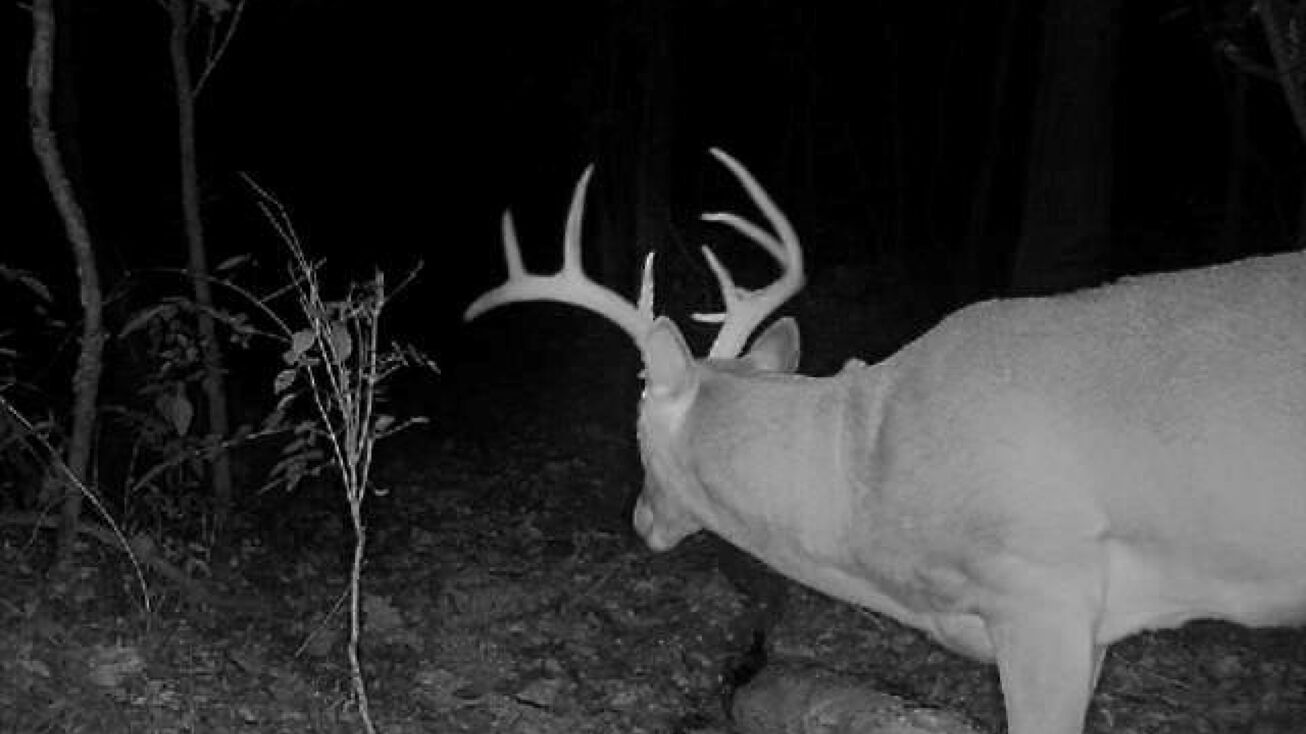 2144 Maple Road, Fort Scott, KS 66701