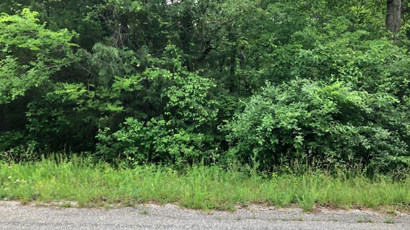 809 Parkway Lane, Horseshoe Bend, AR 72512