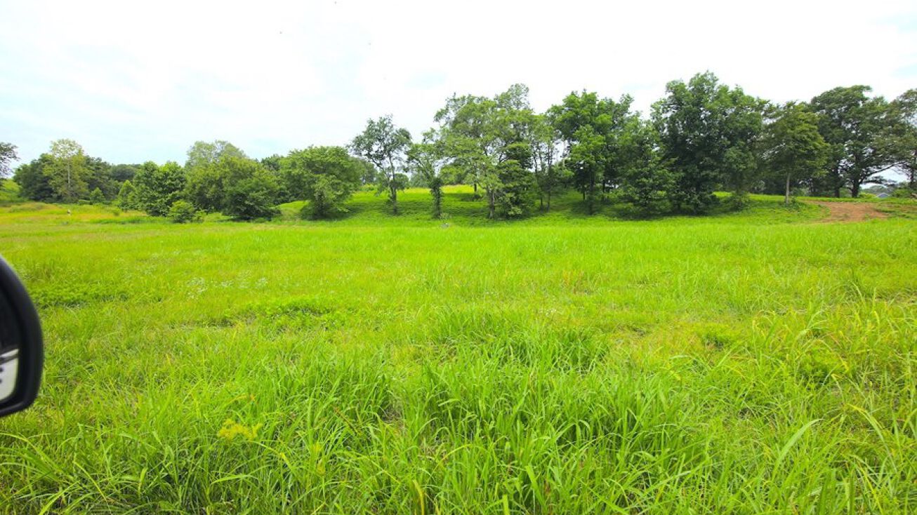 Spring River Brg, Mammoth Spring, AR 72554