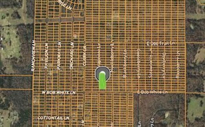 Pictures of Land property located at 1302-1312 Grapevine Lane, Horseshoe Bend, AR 72512 for sales - image #1