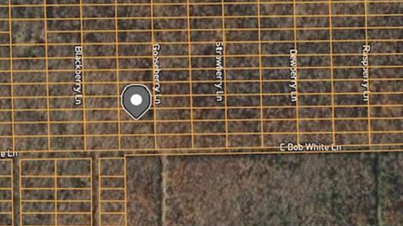 1309 Gooseberry Ln, Horseshoe Bend, AR 72512