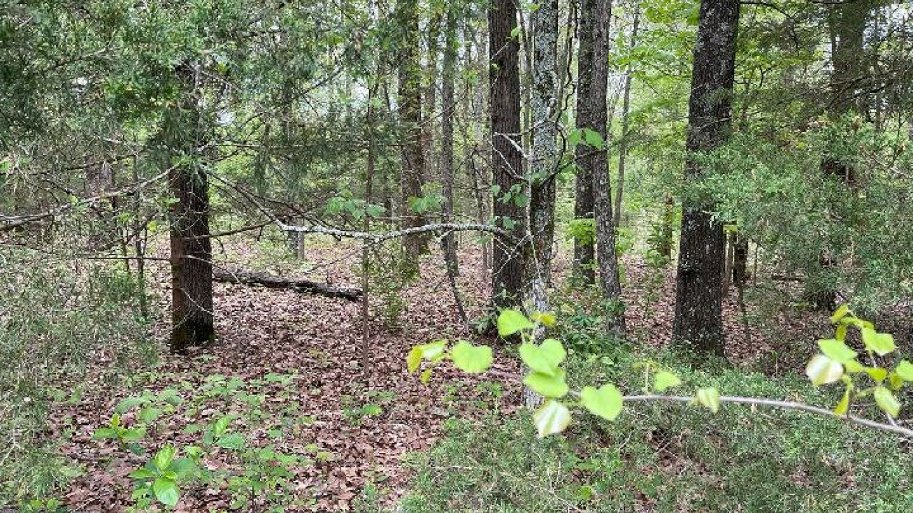 901 E Moonstone Blvd, Horseshoe Bend, AR 72512