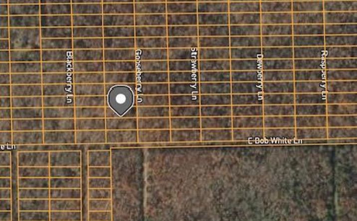 Pictures of Land property located at 1307 Gooseberry Ln, Horseshoe Bend, AR 72512 for sales - image #1