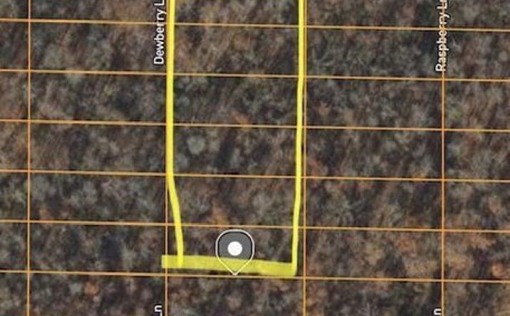 Pictures of Land property located at 1308-1318 Dewberry Lane, Horseshoe Bend, AR 72512 for sales - image #1