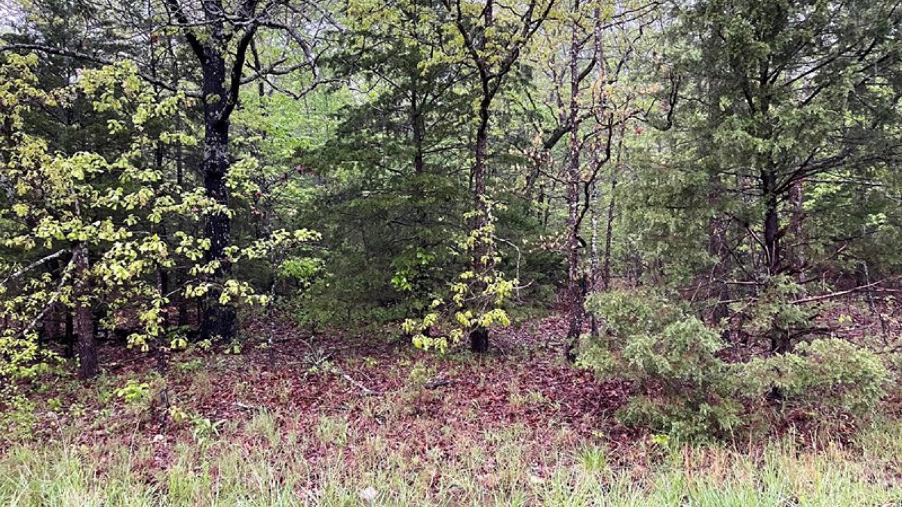 1310 Pioneer Lake Drive, Horseshoe Bend, AR 72512