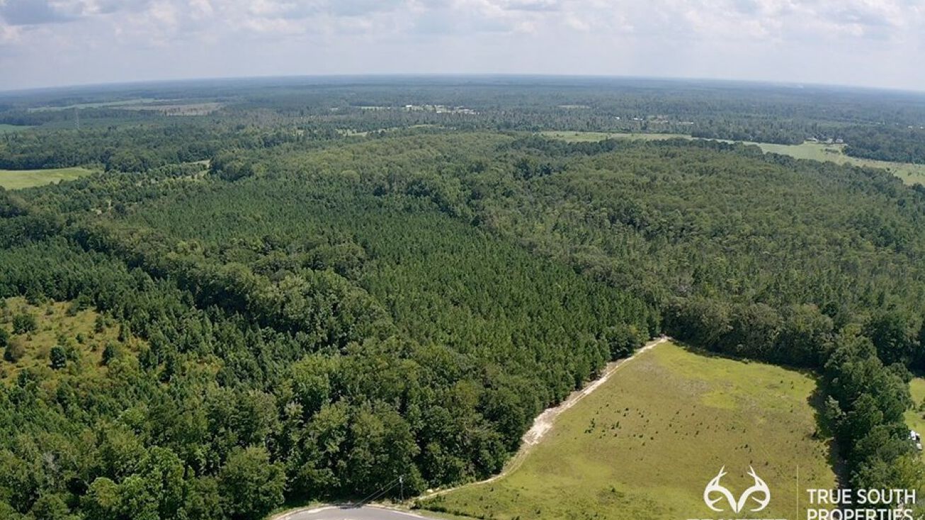 214 Anderson Taylor Dr, Estill, SC 29918