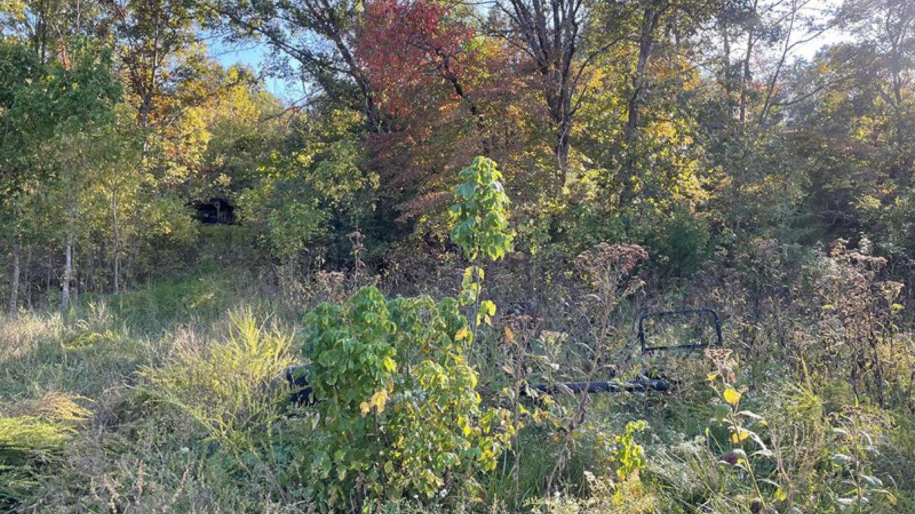 87 North Brook Place, Gamaliel, AR 72537