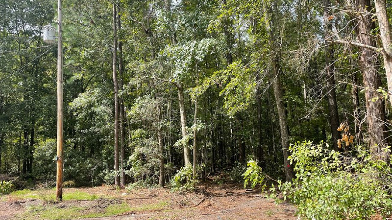 TBD Monkey John Ln, Hardeeville, SC 29927