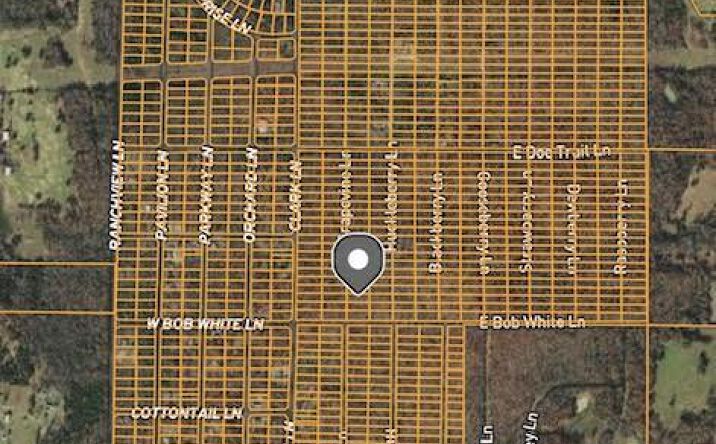 Pictures of Land property located at 1312 Grapevine Lane, Horseshoe Bend, AR 72512 for sales - image #1