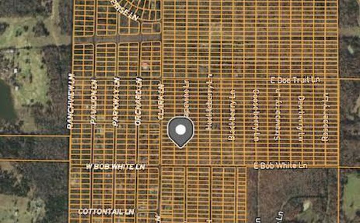 Pictures of Land property located at 1315 Grapevine Lane, Horseshoe Bend, AR 72512 for sales - image #1
