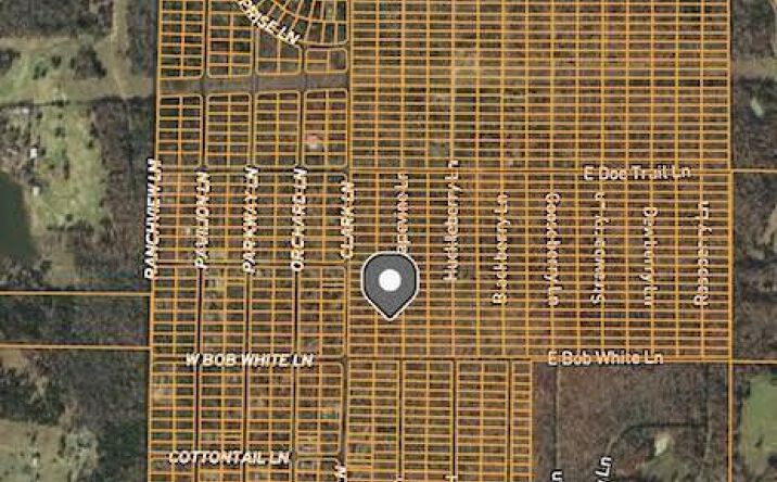 Pictures of Land property located at 1317 Grapevine Lane, Horseshoe Bend, AR 72512 for sales - image #1