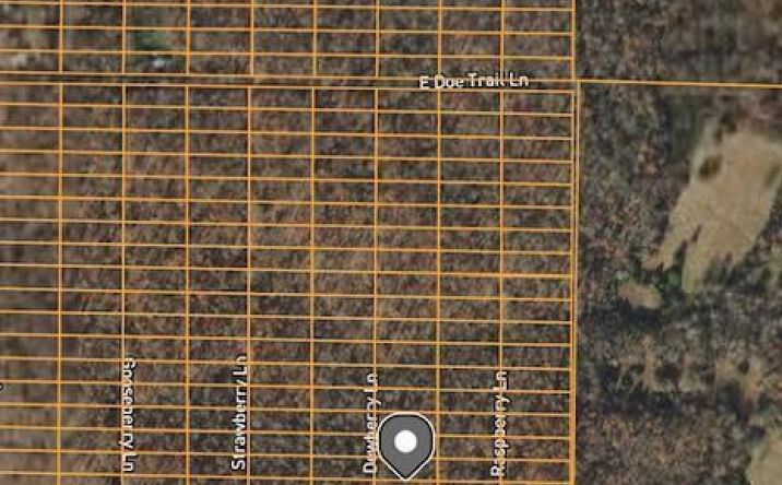 Pictures of Land property located at 1308 Dewberry Ln, Horseshoe Bend, AR 72512 for sales - image #1