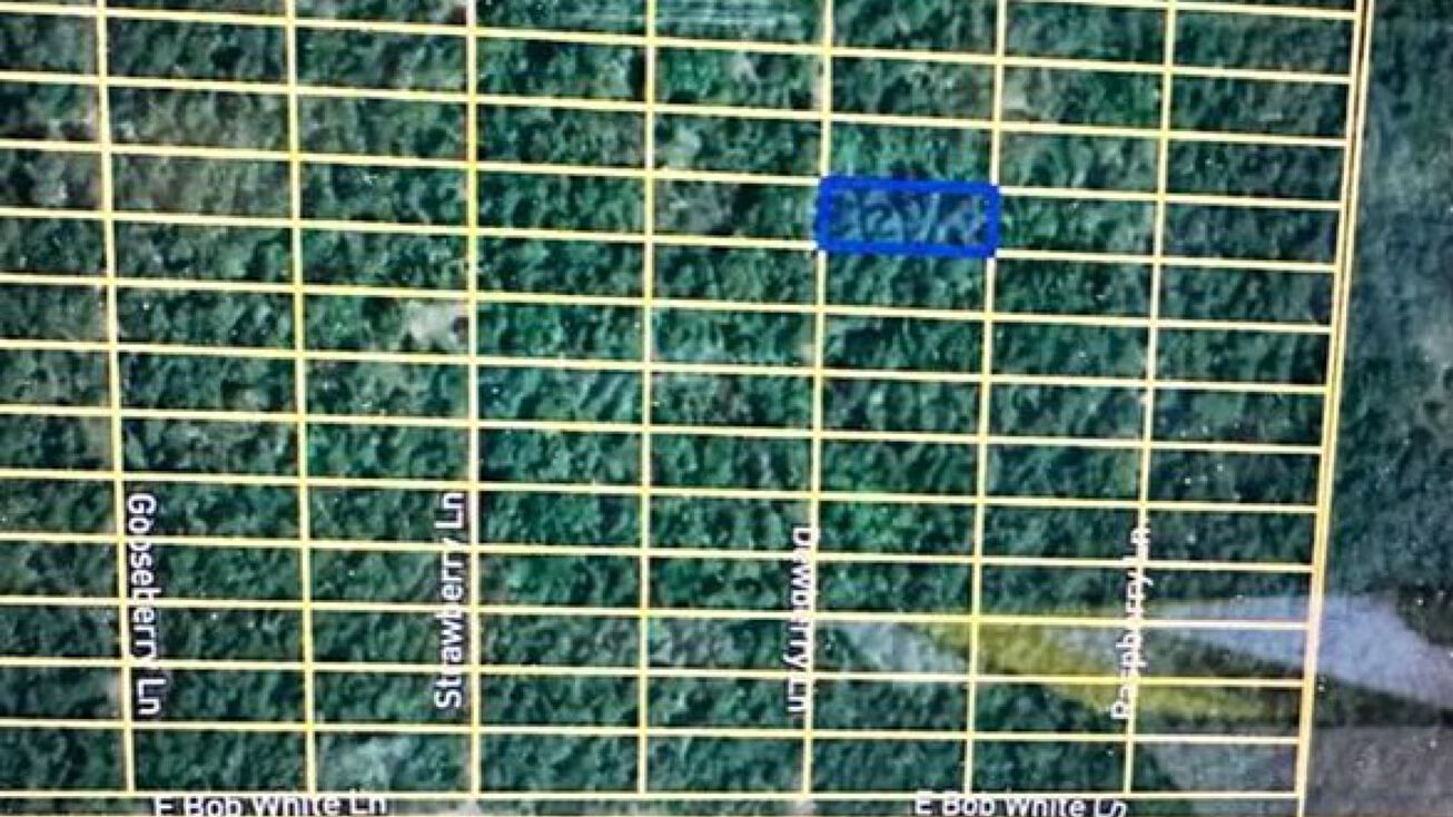 1318 Dewberry Ln, Horseshoe Bend, AR 72512