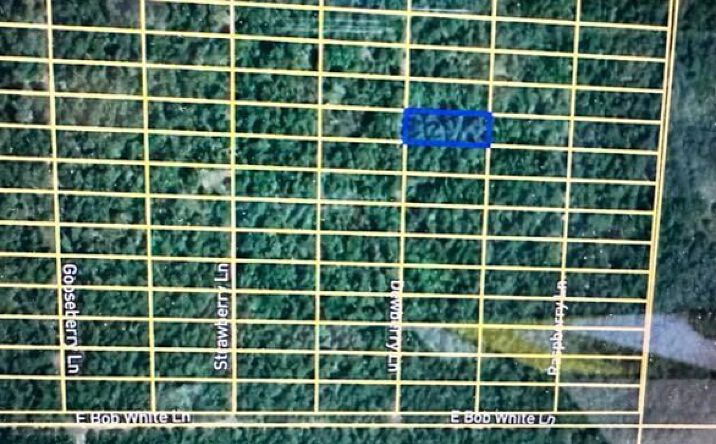 Pictures of Land property located at 1318 Dewberry Ln, Horseshoe Bend, AR 72512 for sales - image #1