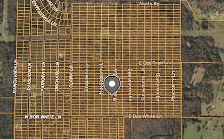 Pictures of Land property located at 1409 Blackberry Ln, Horseshoe Bend, AR 72512 for sales - image #1