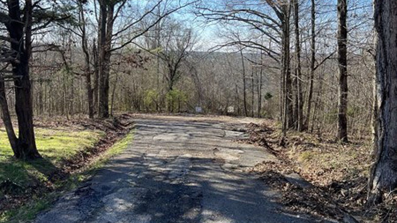 0 Wells Street, Centerville, TN 37033