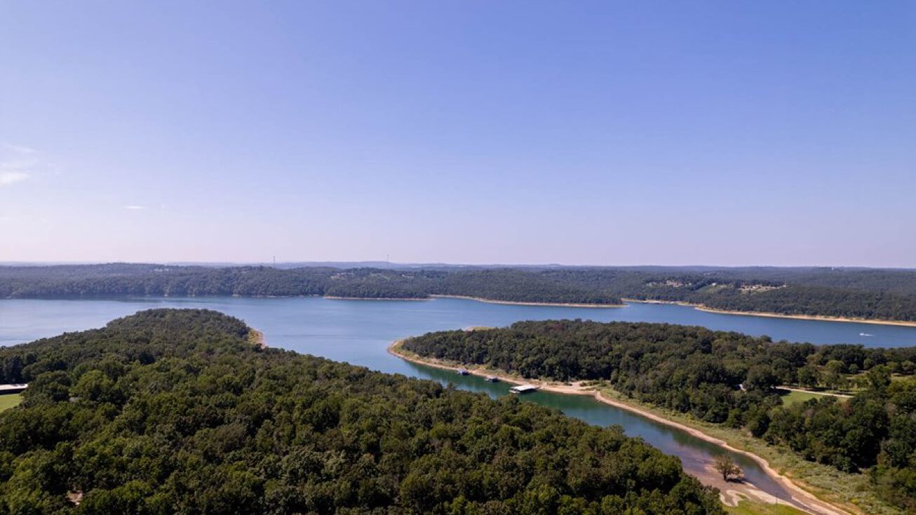 116 Woodrock Ln, Gamaliel, AR 72537