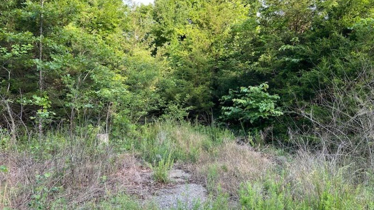 603 Mohawk Dr, Horseshoe Bend, AR 72512