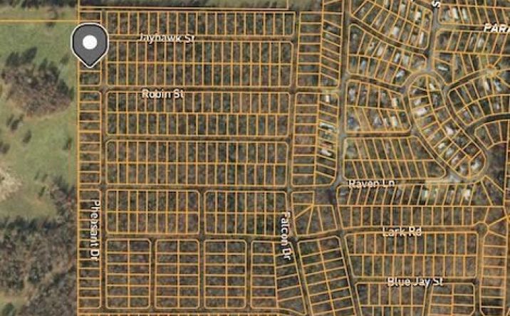 Pictures of Land property located at 1303 Pheasant Dr, Horseshoe Bend, AR 72512 for sales - image #1
