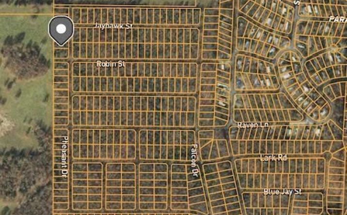 Pictures of Land property located at 1307 Pheasant Dr, Horseshoe Bend, AR 72512 for sales - image #1