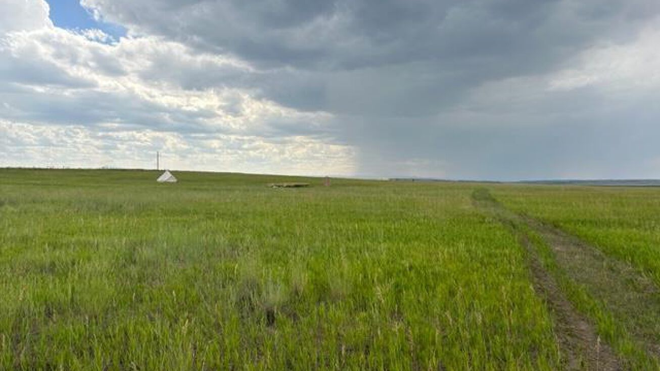 1377 Prairie View Rd, Glendo, WY 82213