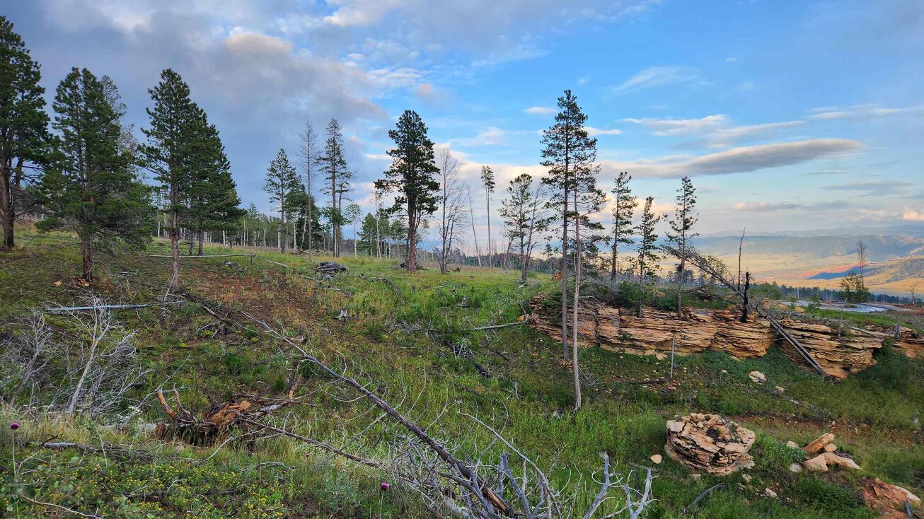 Antler Ridge Lot 4, Casper, WY 82601