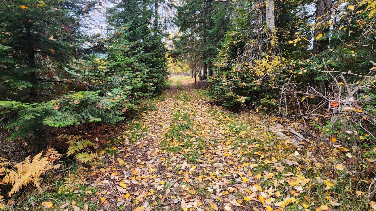 283 Ferndale Drive, Bigfork, MT 59911