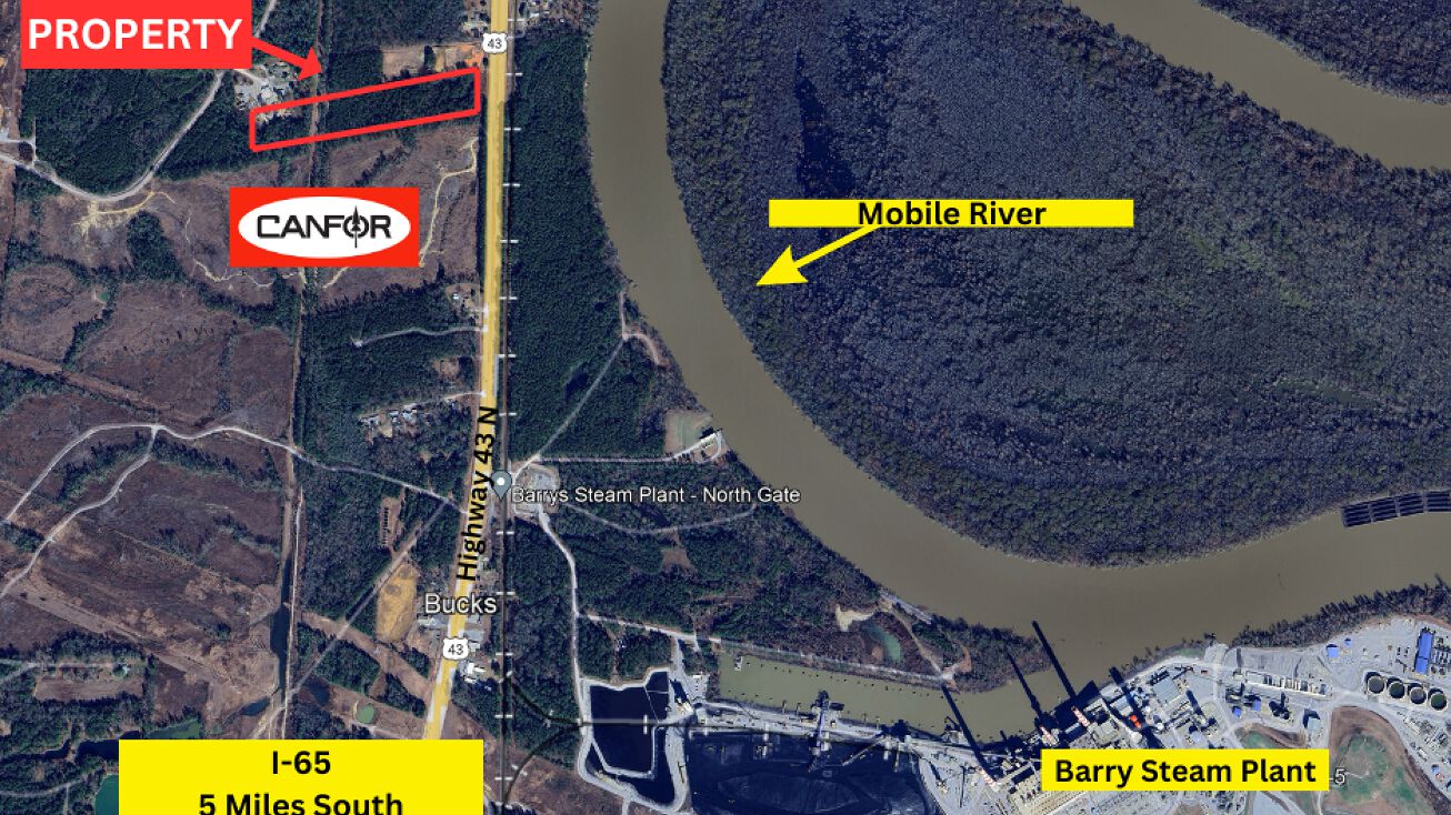 Pictures of Land property located at US-43, Bucks, AL 36512 for sales - image #1