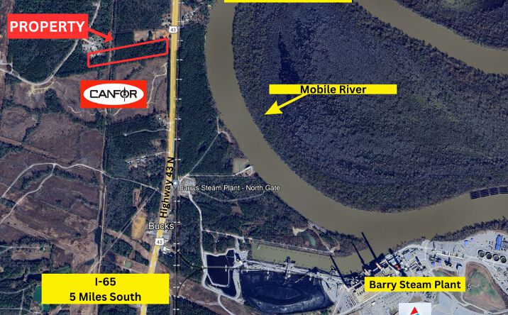 Pictures of Land property located at US-43, Bucks, AL 36512 for sales - image #1