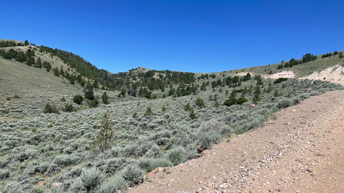 Bighorn Mountain Rd, Arminto, WY 82648