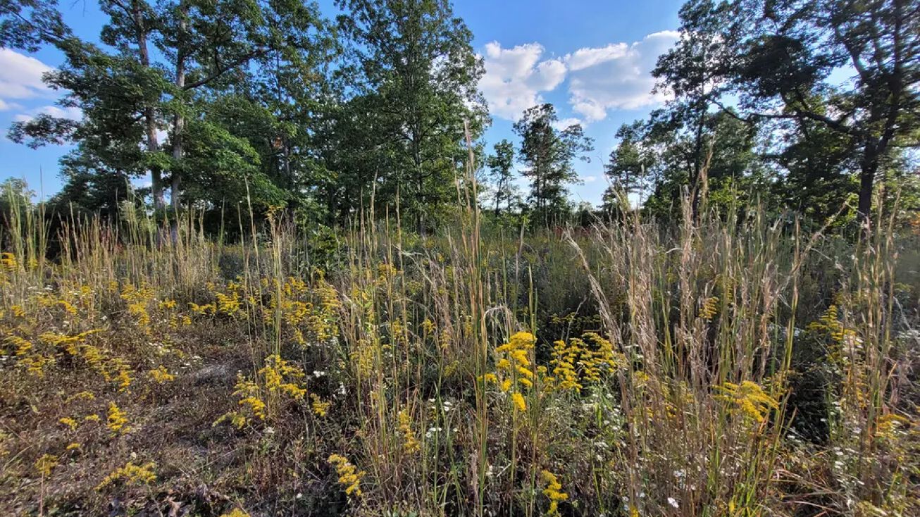 Lodge Rd, Blackwater, MO 65441