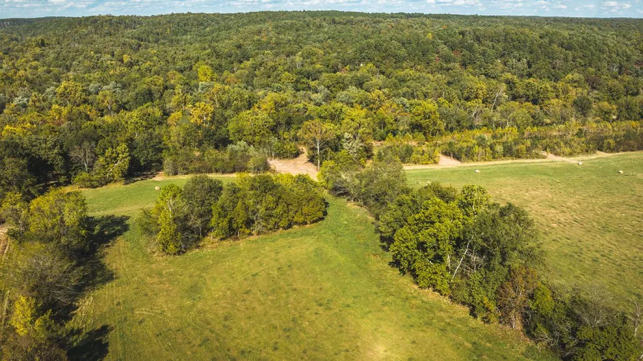 Boiling Springs Rd, Licking, MO 65542