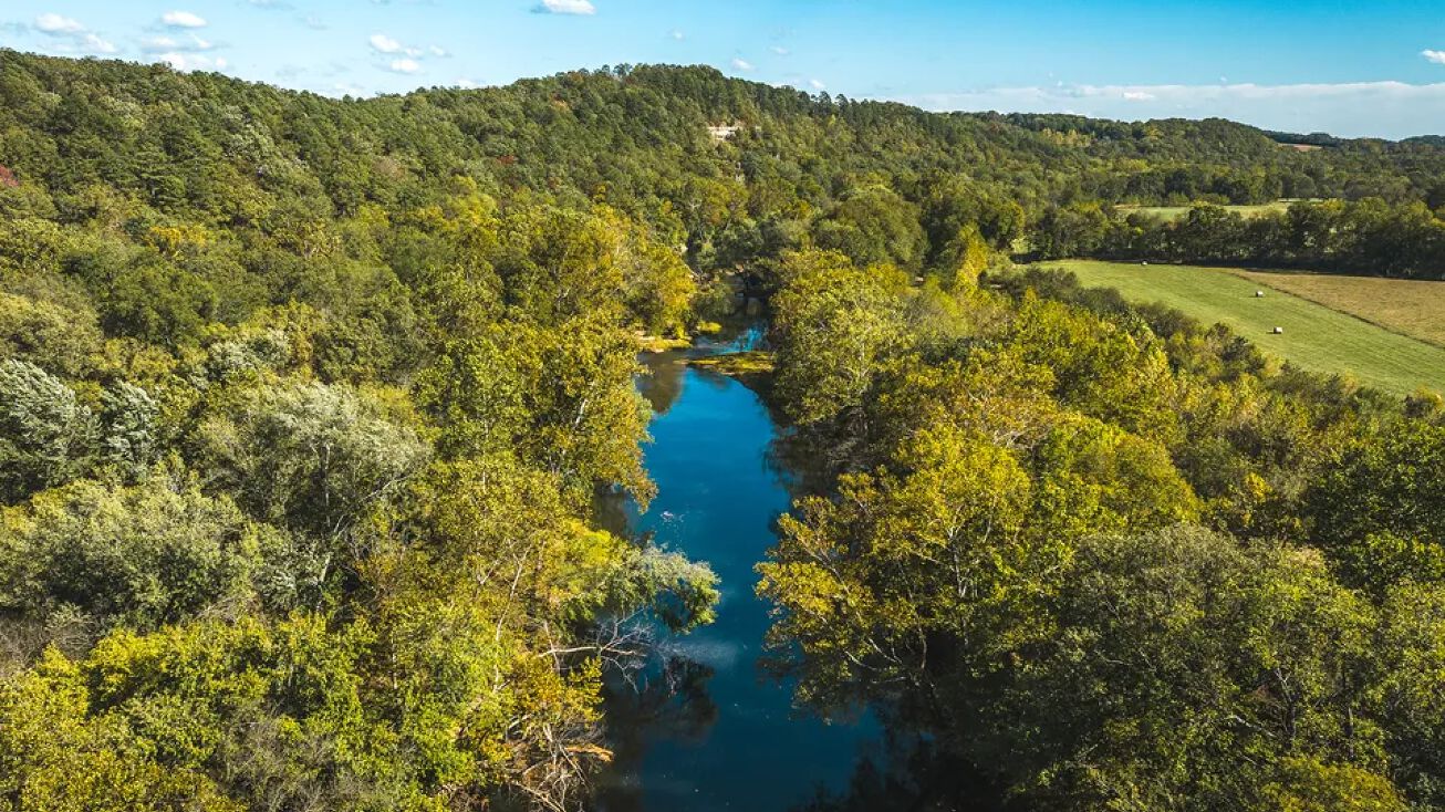 Boiling Springs Rd, Licking, MO 65542