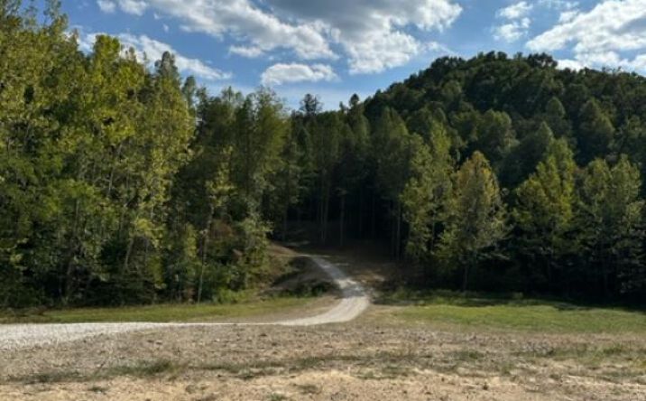 Pictures of Land property located at 7000 KY 7, Sandy Hook, KY 41171 for sales - image #1