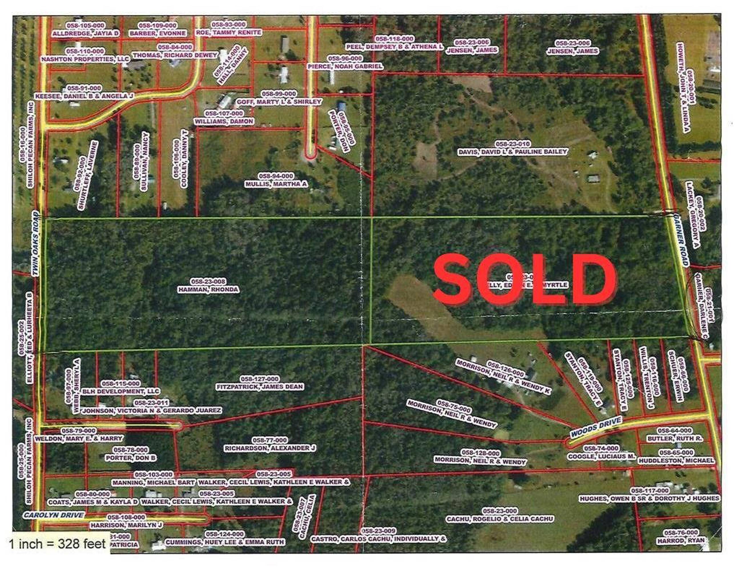 TWIN OAKS RD Ray City GA 31645