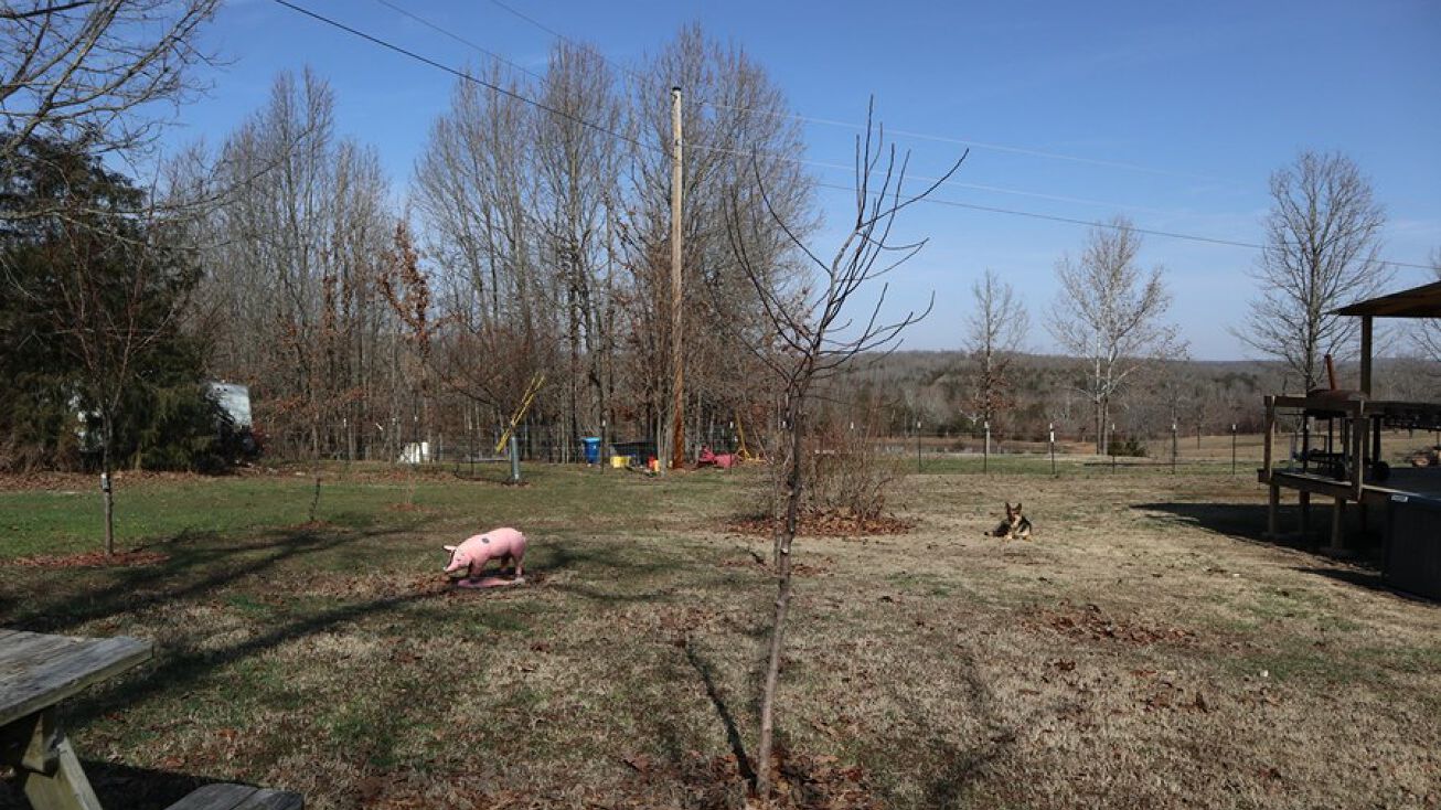 3458 Squirrel Hill Rd, Glencoe, AR 72539