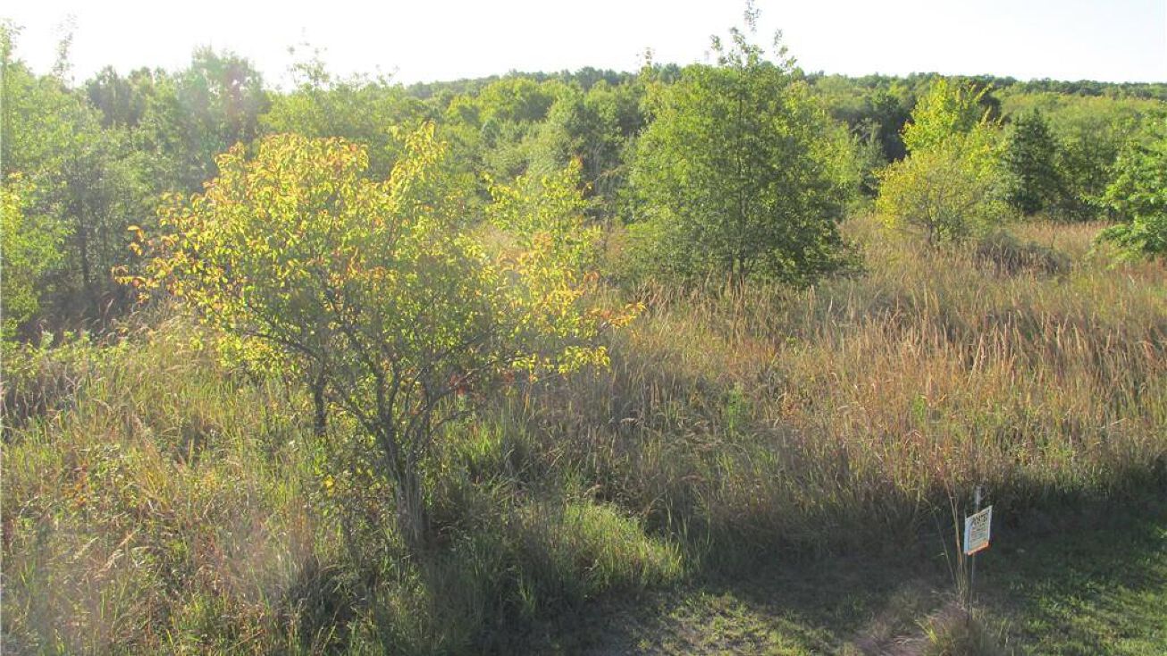 0002 LIV 259 Road, Chillicothe, MO 64601