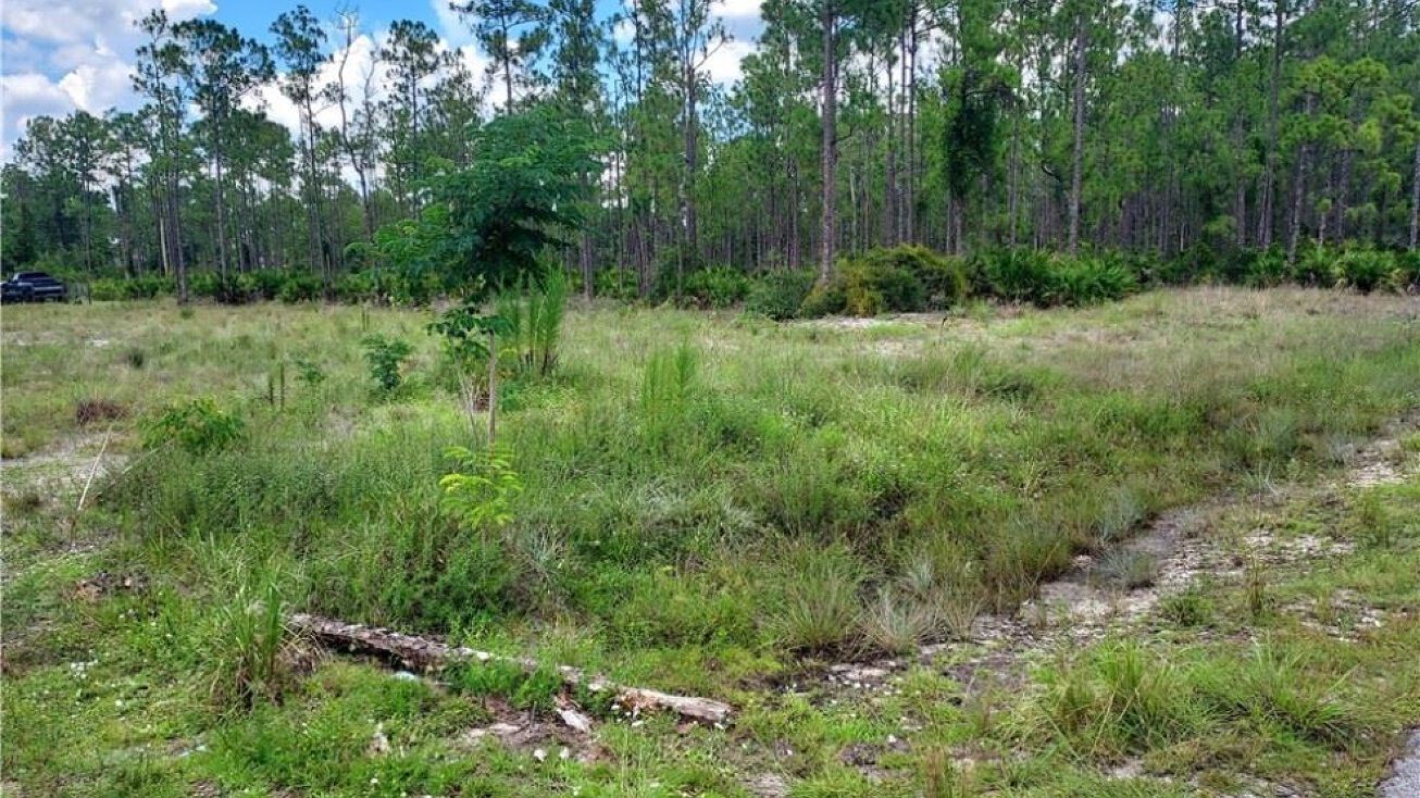 2213 Columbus Ave, Alva, FL 33920