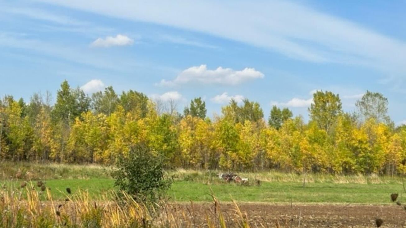 Krueger Rd, Black Creek, WI 54106