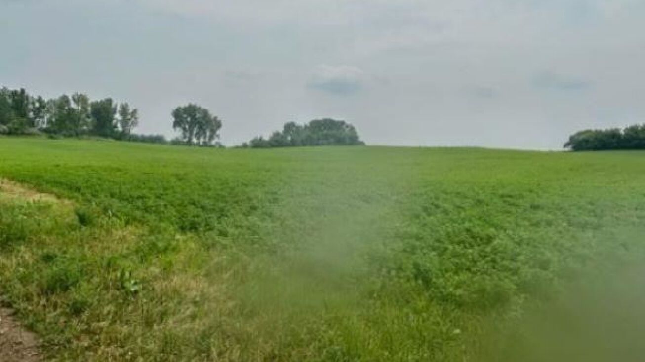 County Rd A, Black Creek, WI 54106