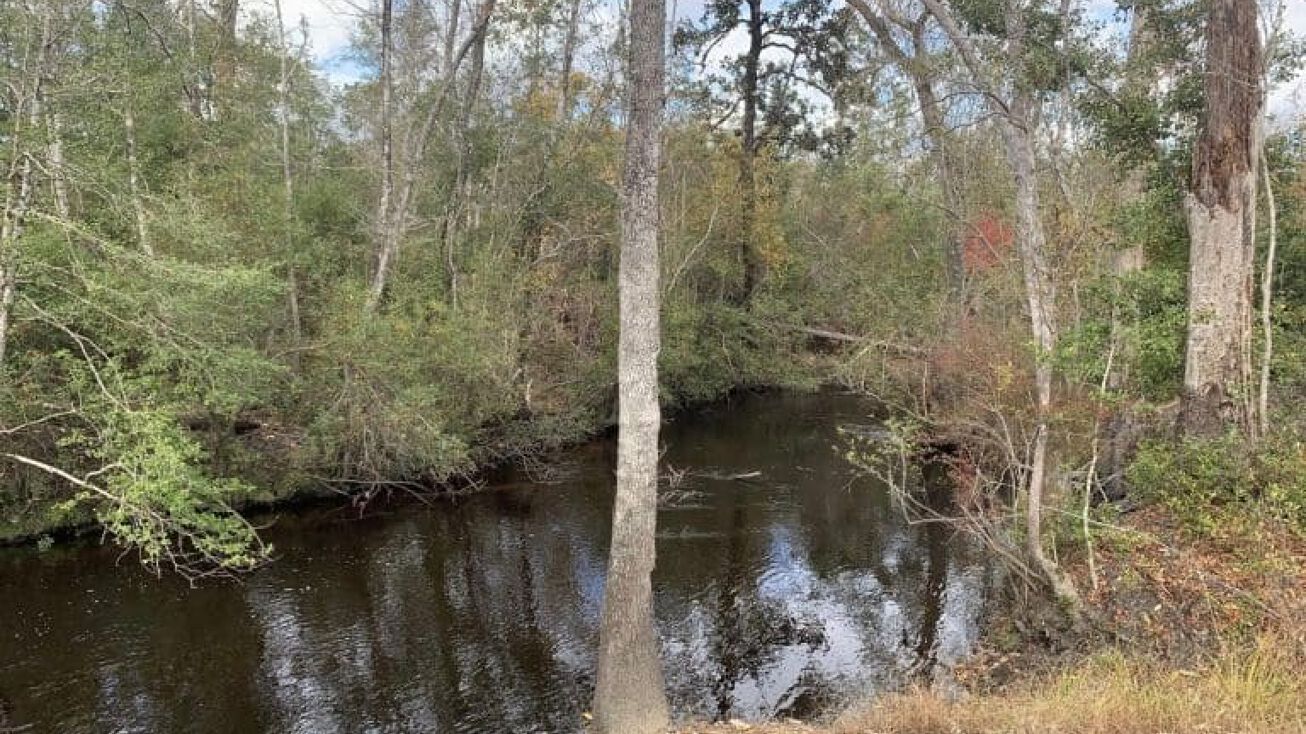 XX Pippin Cemetery Road, Clarksville, FL 32430